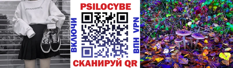 Галлюциногенные грибы Psilocybe Харовск
